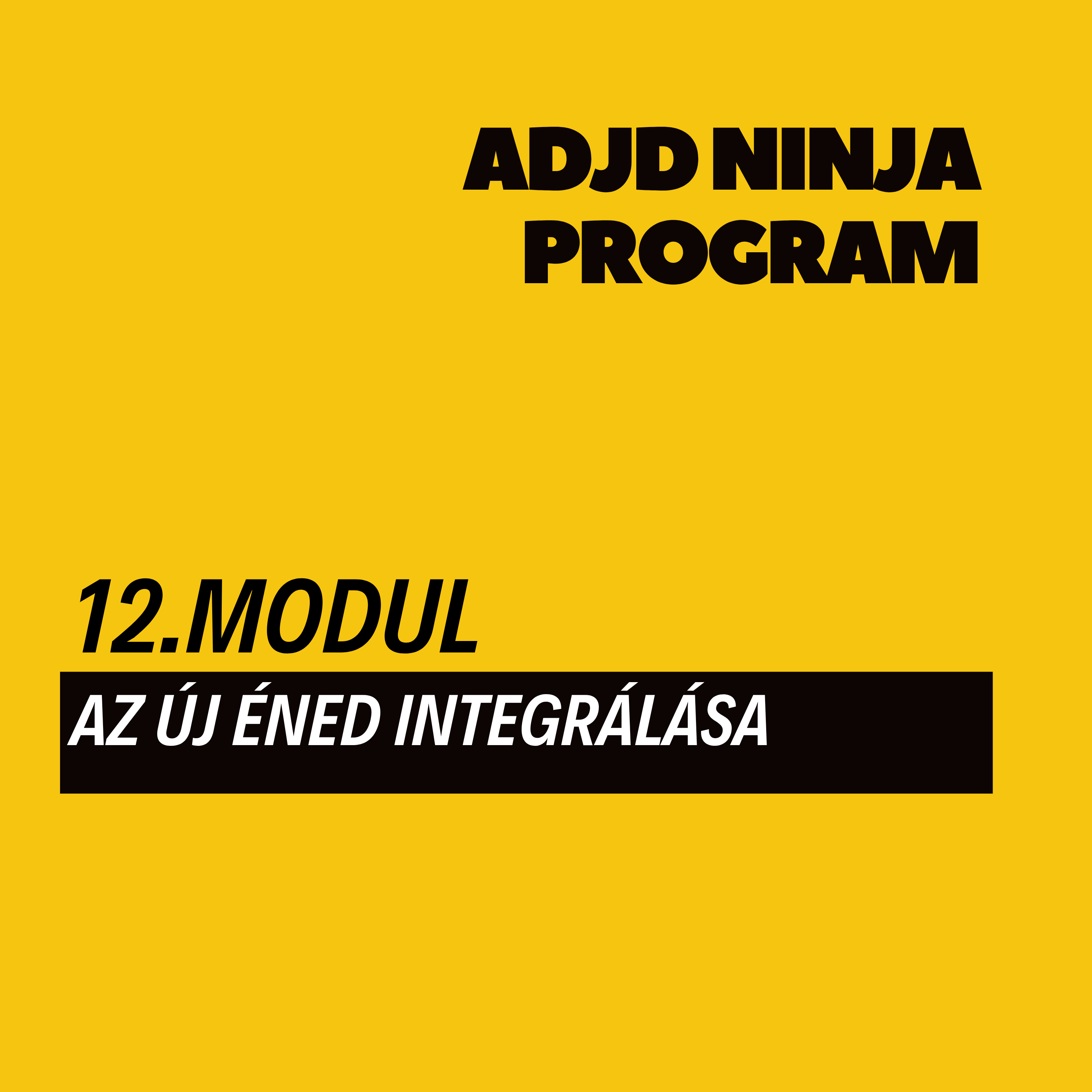 adhd felnőtt adhd felnőtt